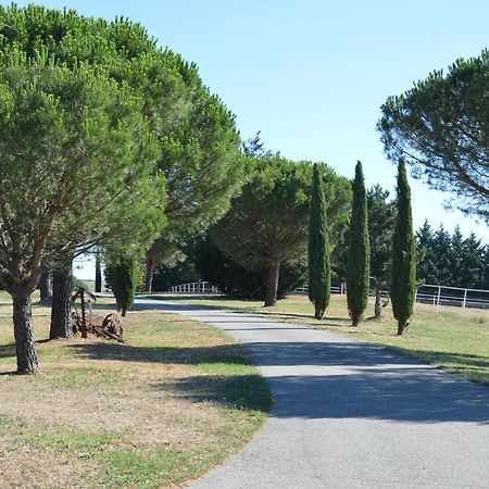 Les Moineaux Du Domaine Du Moulin Villa Etables  Kültér fotó